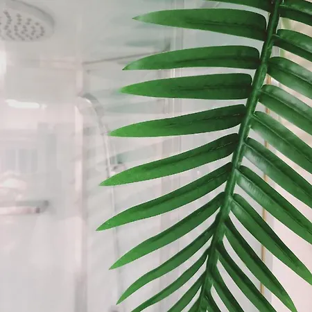 A 2 Pas Du Port, Bora Bora * フェカン